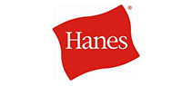 Bulk Hanes Tees & Hoodies