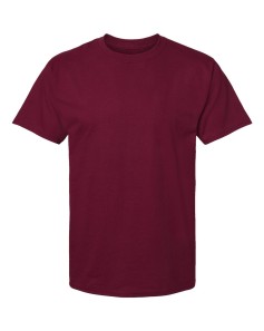 Hanes 5280 Essential T-Shirt