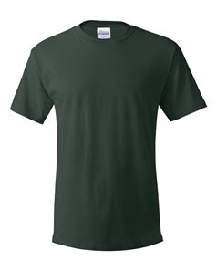 Hanes 5280 Essential T-Shirt