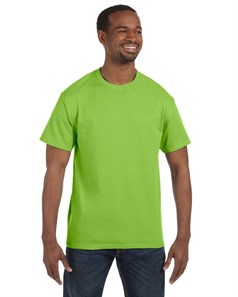 preview image of Hanes 5250 Authentic Short Sleeve T-Shirt