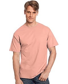 preview image of Hanes 5250 Authentic Short Sleeve T-Shirt