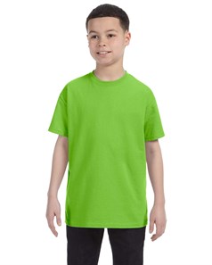 preview image of Hanes 5450 Youth T-Shirt
