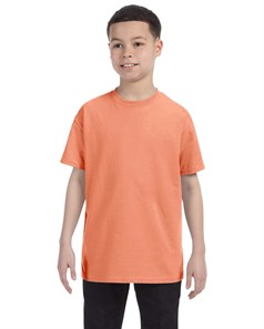 preview image of Hanes 5450 Youth T-Shirt
