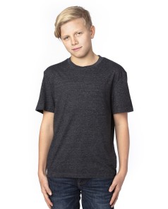 preview image of Threadfast Apparel 602A Youth Triblend T-Shirt