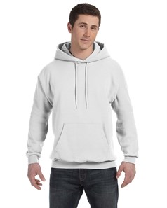 preview image of Hanes P170 Ecosmart Hooded Sweatshirt