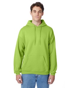 preview image of Hanes P170 Ecosmart Hooded Sweatshirt