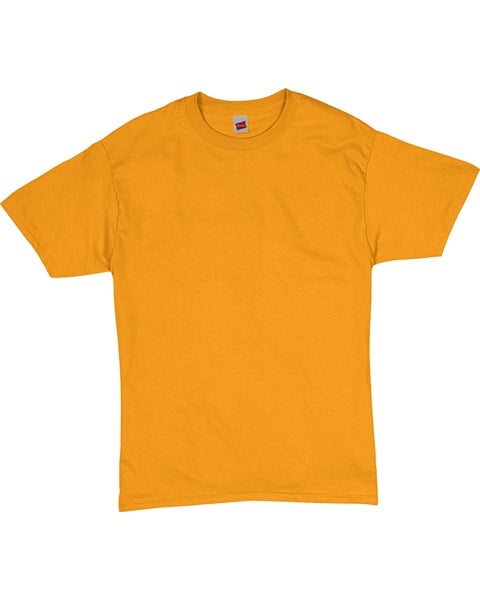 Hanes Wholesale 5280 Essential T-Shirt
