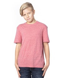 preview image of Threadfast Apparel 602A Youth Triblend T-Shirt