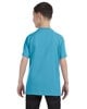 Aquatic Blue