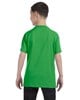 Shamrock Green