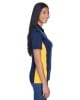 Navy/ Gold