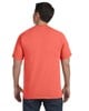 Bright Salmon