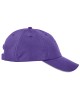 Campus Purple