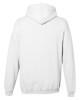 Arctic White