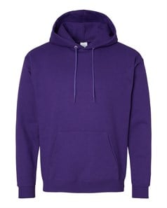 preview image of Hanes P170 Ecosmart Hooded Sweatshirt