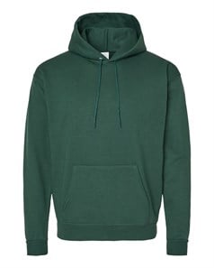 preview image of Hanes P170 Ecosmart Hooded Sweatshirt