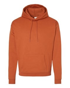 Ecosmart Hooded Hoodie Sweatshirt