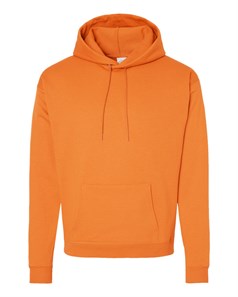preview image of Hanes P170 Ecosmart Hooded Sweatshirt