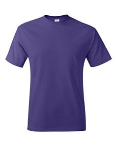 preview image of Hanes 5250 Authentic Short Sleeve T-Shirt