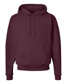 preview image of Hanes P170 Ecosmart Hooded Sweatshirt