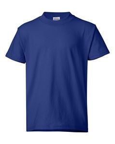 preview image of Hanes 5370 Ecosmart Youth T-Shirt