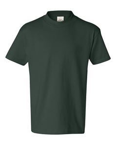 preview image of Hanes 5450 Youth T-Shirt