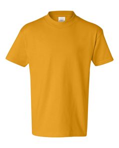 preview image of Hanes 5450 Youth T-Shirt