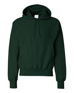preview image of Champion S101 Reverse Weave Hooded Sweatshirt