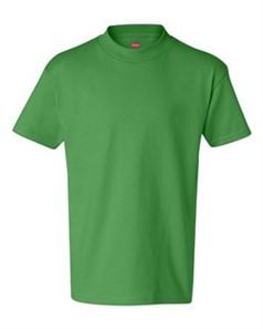 preview image of Hanes 5450 Youth T-Shirt
