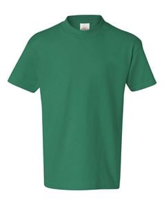 preview image of Hanes 5450 Youth T-Shirt