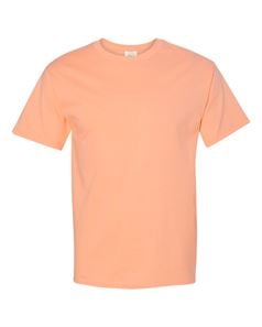 preview image of Hanes 5250 Authentic Short Sleeve T-Shirt