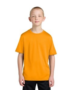 preview image of Port & Company   Youth Performance Tee. PC380Y