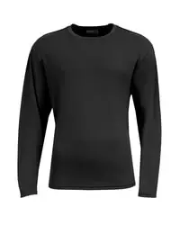 preview image of A4N3532 N3532 AirFlex Long Sleeve Tee N3532