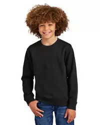 preview image of District   Youth V.I.T.   Fleece Crew DT6104Y