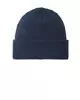 Insignia Blue