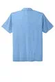 Carolina Blue