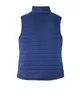 Cobalt Blue