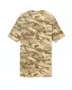 Desert Camo