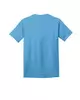 Aquatic Blue