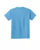 Aquatic Blue