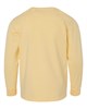 Summer Squash Yellow