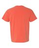Bright Salmon
