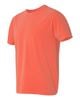 Bright Salmon